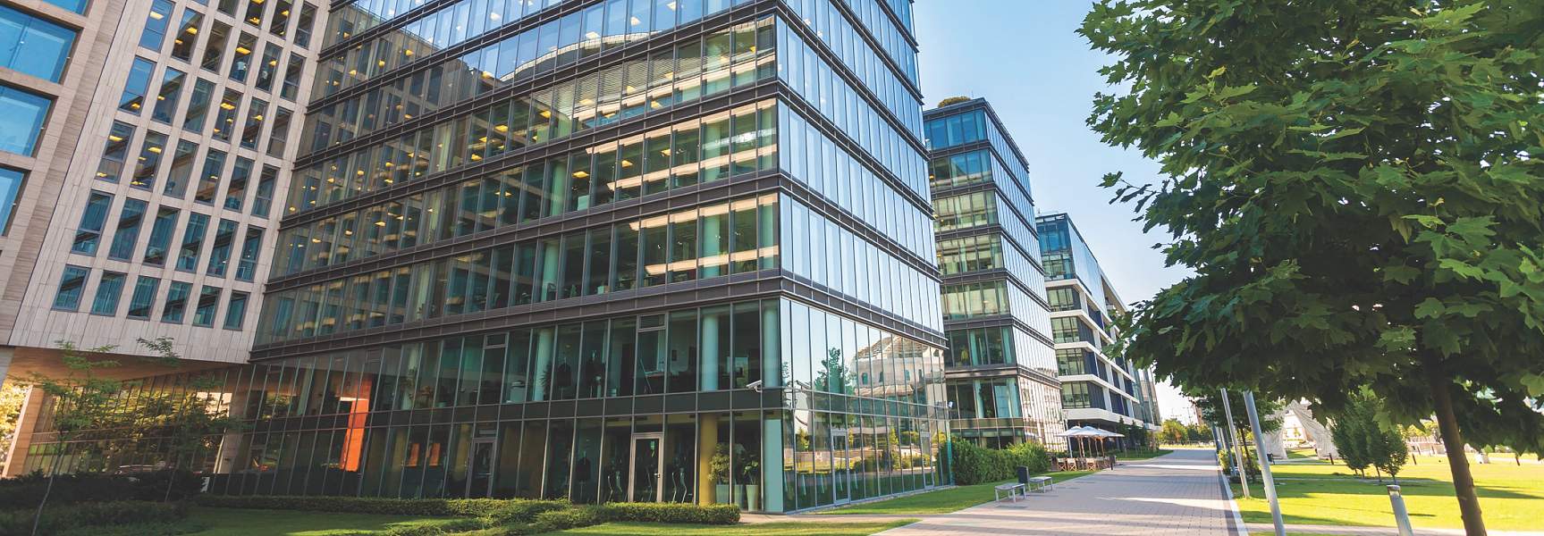 Ambris LLP