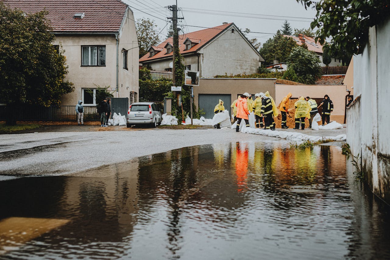 What is business continuity management (BCM)?